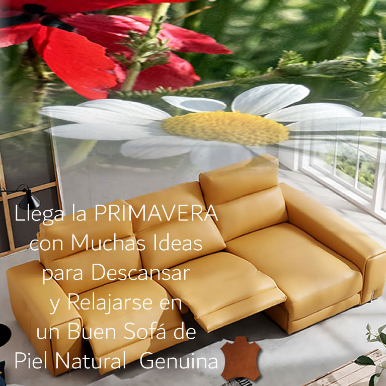 sofas piel y cuero